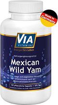 ViaVitamine Mexican wild Yam Kapseln